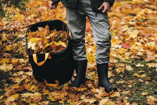 FISKARS PopUp-Gartensack mit Griffen 73L