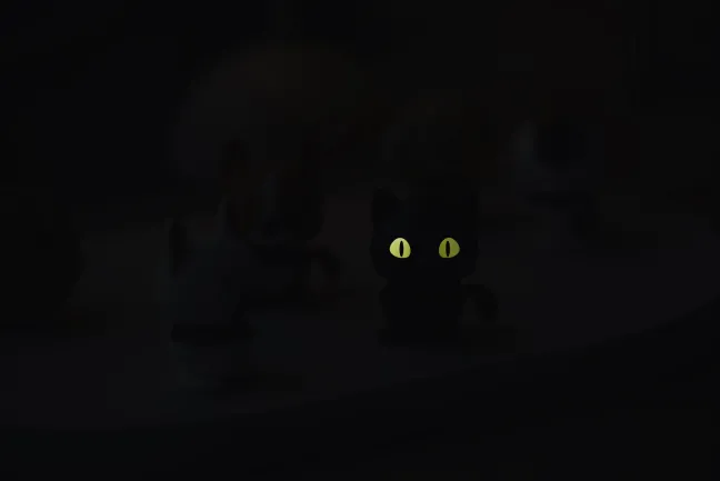 Hoptimist® Katze XS schwarz