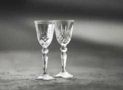 Lyngby Glas Schnapsglas Melodia 5cl 4 Stück
