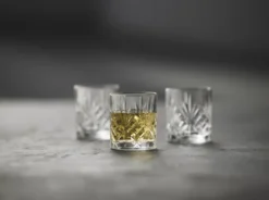 Lyngby Glas Schnapsglas Melodia 8cl 6 Stück