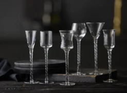 Lyngby Glas Schnapsglas Rom 18cm 6 Stück