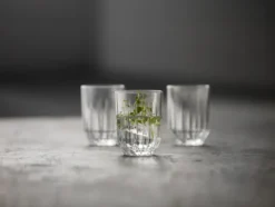 Lyngby Glas Wasserglas Astrid 25cl 6 Stück
