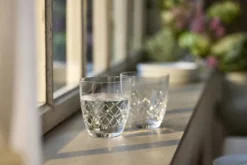 Lyngby Glas Wasserglas Eaton 30cl 2 Stück