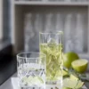 Lyngby Glas Whiskyglas/Highball Trinkglas Melodia 8-teilig