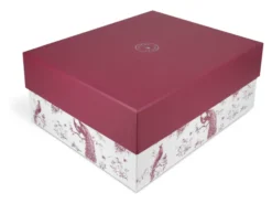 Paveau Broome Geschenkset Flasche + 2 Gläser - S11177-10117