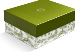 Paveau Swirl Moss Geschenkset Flasche 0,75L + 2 Tumbler Gläser