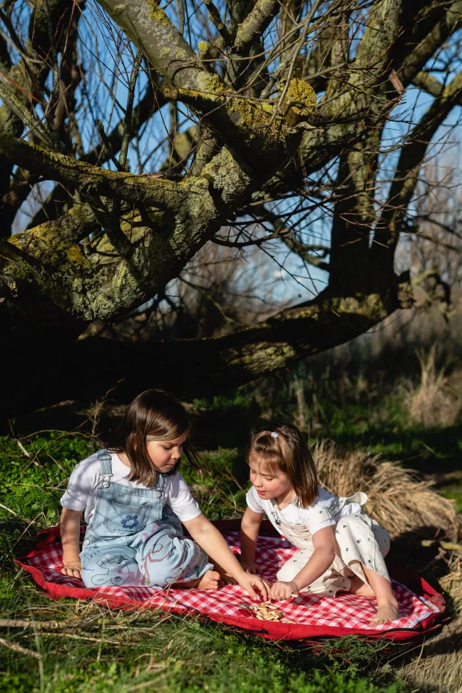 Play&Go Outdoor 2 in 1 Spielzeugsack Ø140cm Pic nic