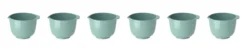 Rosti Margrethe Mini Bowl 6er-Set 25 ml Nordic Green