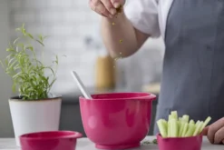 Rosti Margrethe Schüssel Durostima® 3L Beetroot