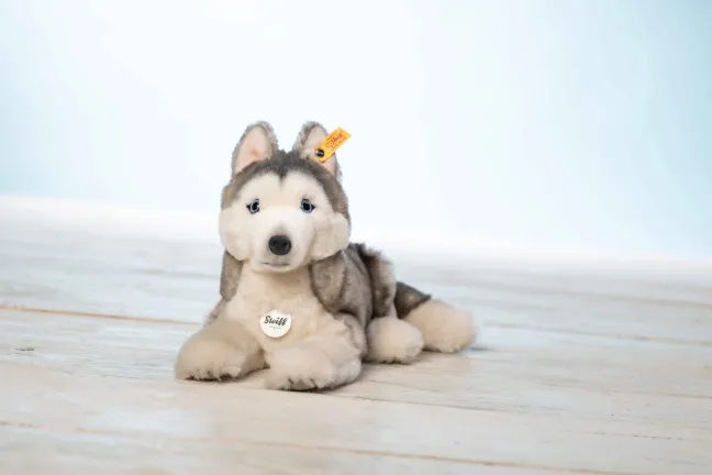 Steiff Bernie Husky 33cm