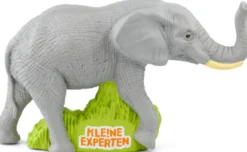 Tonie KLE!NE EXPERTEN - ... begleiten Elefanten