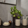 ZONE Denmark Seifenschale Ume braun
