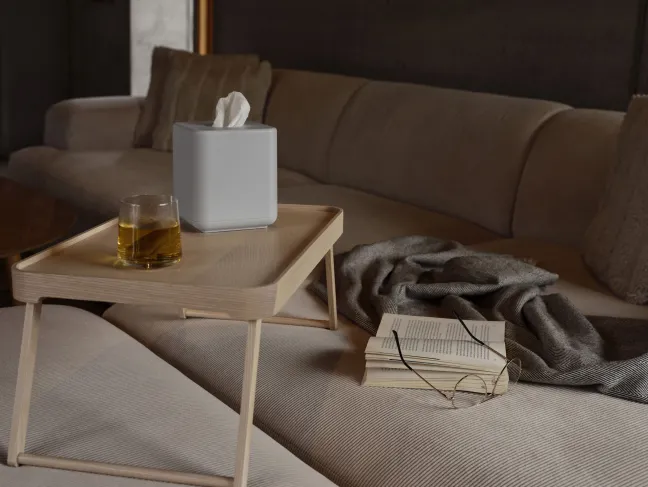 ZONE Denmark Taschentuchbox Ume 13 x 13 x 15,1 cm grau